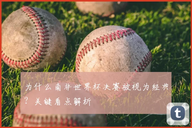 为什么南非世界杯决赛被视为经典?关键看点解析