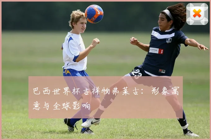 巴西世界杯吉祥物弗莱古:形象寓意与全球影响